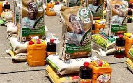 RICE FOR TODAY, RUIN FOR TOMORROW