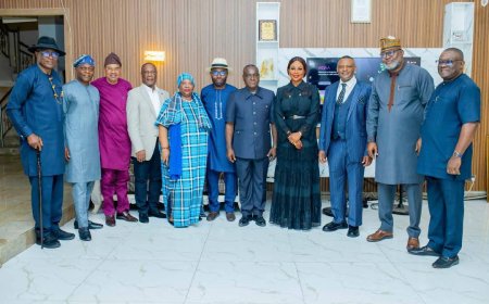 Envoys Back SSDC Push for South South Development