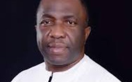 ADC: Mark's Leadership Passed Through Due process, Nwosu, Fmr National Chairman