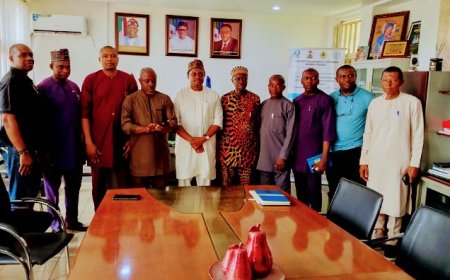 C’River Partners Dubai Firm to Boost Agriculture