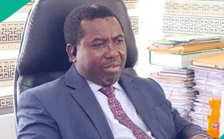 INEC Chairman Faces RESGINATION Calls As Fact- heck Links Him To X Account Supporting Tinubu