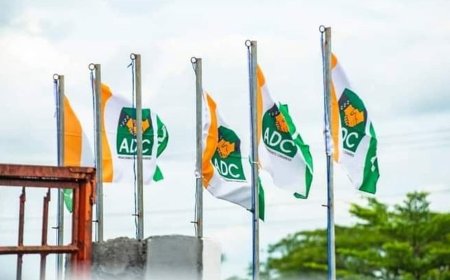 ADC Reps Caucus Kicks  Against Court's Interference In Party  Leadership