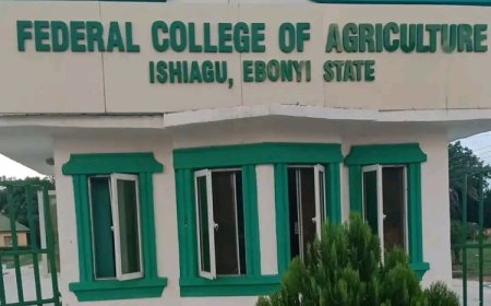 Ebonyi: Crisis Rocks Ishiagu Federal College of Agriculture As Two Provosts Emerge
