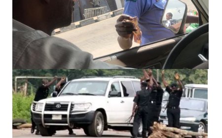 WHEN SECURITY CHECKPOINTS FAIL THE PUBLIC