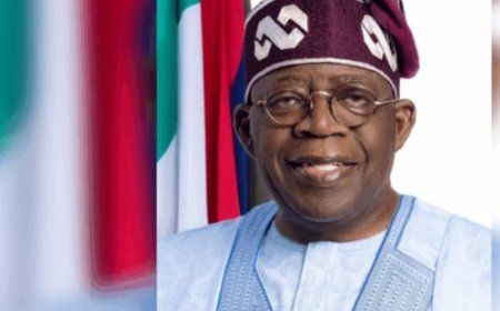 Tinubu Approves ₦17bn for Ward Projects Nationwide