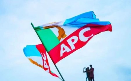 Ebonyi APC Warns Aspirants Against Buying Nomination Forms Without Governor’s Approval