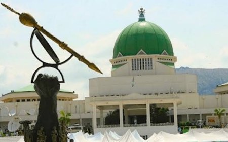CRISIS LOOMS IN APC AS NASS MEMBERS LOBBIES OTHER PARTIES
