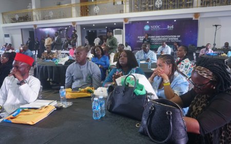 Digital Contract Procurement System Will Curb Irregularities Says NDDC Rep