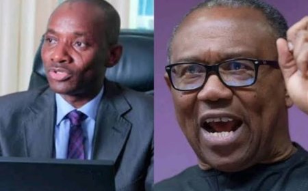 Politics 2027: Prof Amadi Says ADC May Soon Be Proscribed,  Advises Obi on ‘plan B’