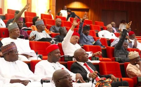 NASS MEMBERS: ARE YOU STILL SINGING ON YOUR MANDATE WE SHALL STAND?