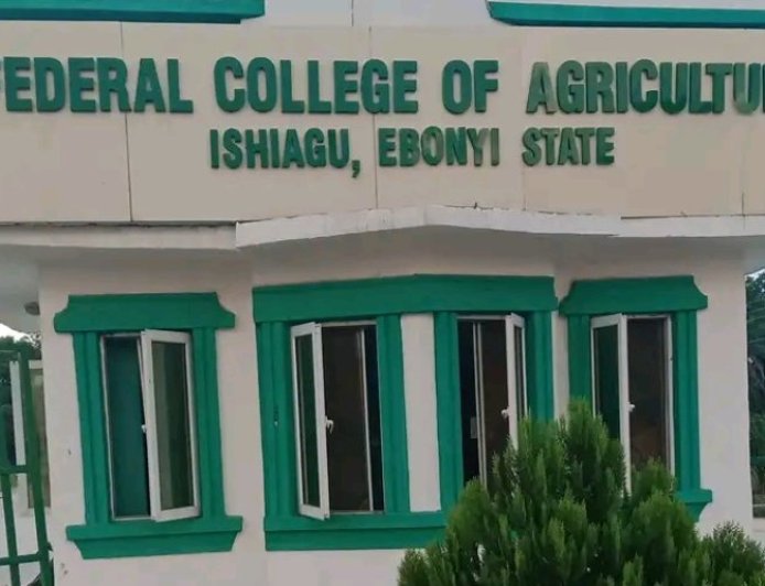 Ebonyi: Crisis Rocks Ishiagu Federal College of Agriculture As Two Provosts Emerge