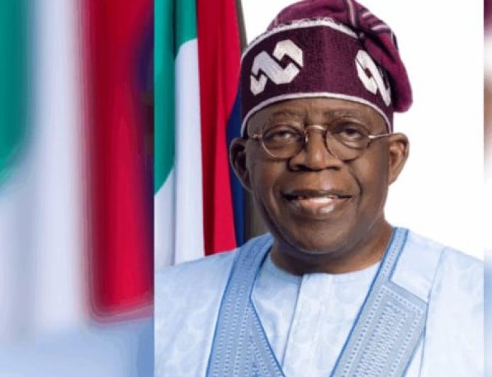 Tinubu Approves ₦17bn for Ward Projects Nationwide