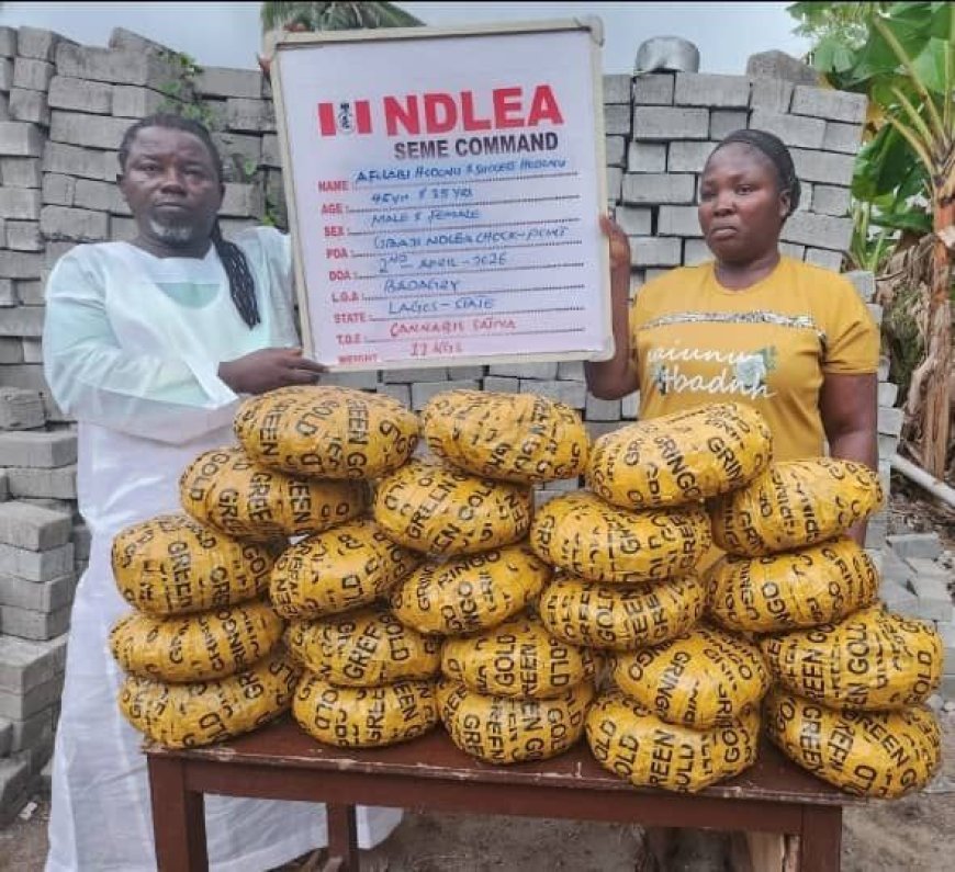 NDLEA Arrests Celestial Church Pastor for Drug Trafficking Near Lagos Border