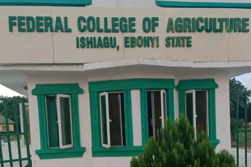 Ebonyi: Crisis Rocks Ishiagu Federal College of Agriculture As Two Provosts Emerge