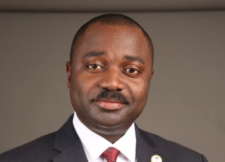 Law scholar to challenge Ayade, Jarigbe for C'River North APC Senate ticket
