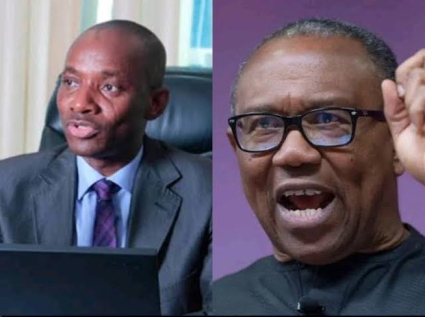 Politics 2027: Prof Amadi Says ADC May Soon Be Proscribed,  Advises Obi on ‘plan B’