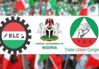 WORKER’S DAY: WHAT IS WORKING FOR THE NIGERIAN WORKER?