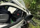 Tragedy As 3 UNICROSS SUG Leaders, 1 Staff Die In Auto Crash