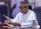 SDP Picks Adebayo as 2027 Presidential Flagbearer at Bauchi Convention