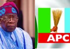 APC Reps Primaries: President Tinubu Kicks Against Alleged Governor's Imposition of Candidates During Reps Primaries