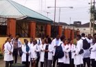 Displaced UNICAL Dental Students Secure Admission at OAU After Months of Uncertainty