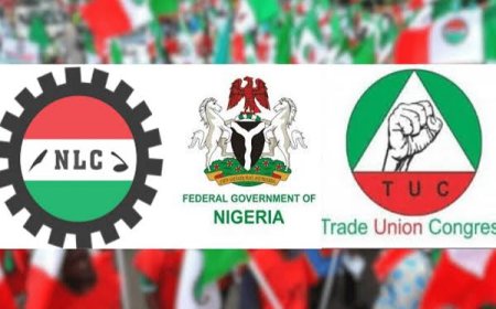WORKER’S DAY: WHAT IS WORKING FOR THE NIGERIAN WORKER?