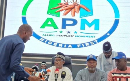 Bauchi Governor Dumps PDP for APM Amid Party Crisis
