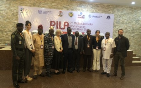 FAO, Stakeholders Meet in Calabar Over Deforestation