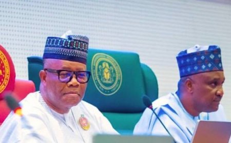 11th NASS: Senate blocks ex-govs, Uzodimma from principal offices