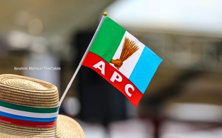 C'River Primaries:  Reps Members Cry Foul, Describe Purported Election As Charade