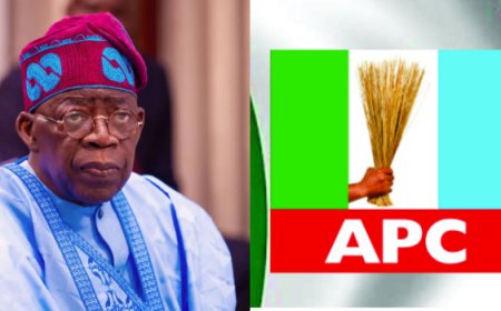 APC Reps Primaries: President Tinubu Kicks Against Alleged Governor's Imposition of Candidates During Reps Primaries