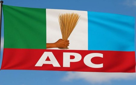 APC Stops Announcement of Primaries Results At State level