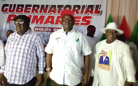 Arthur Jarvis Wins PDP Governorship Primary in C’River
