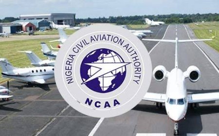 NCAA Halts Enforcement of ‘No Pay, No Service’ Policy for Indebted Airlines