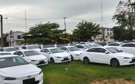 Analyst Questions Viability of Cross River’s Electric Vehicle Initiative Amid Power Challenges
