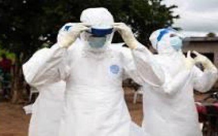 Ebola Alert: Cross River Among 10 High-Risk States as NCDC Intensifies Preparedness Measures