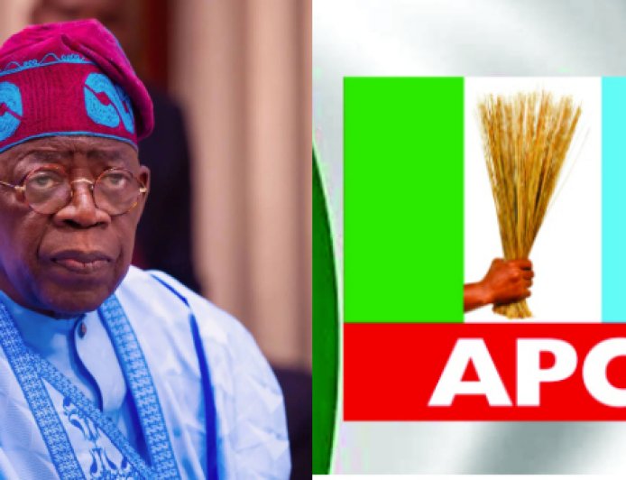 APC Reps Primaries: President Tinubu Kicks Against Alleged Governor's Imposition of Candidates During Reps Primaries