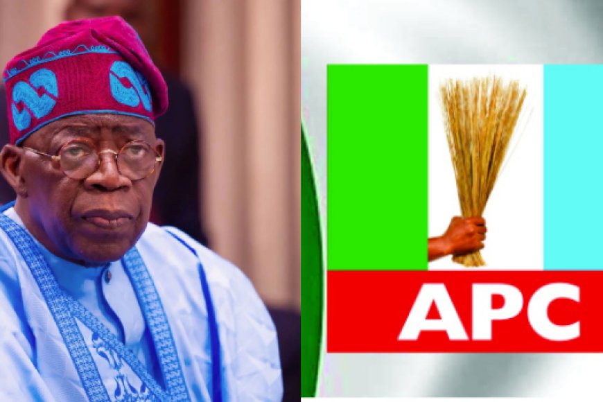 APC Reps Primaries: President Tinubu Kicks Against Alleged Governor's Imposition of Candidates During Reps Primaries
