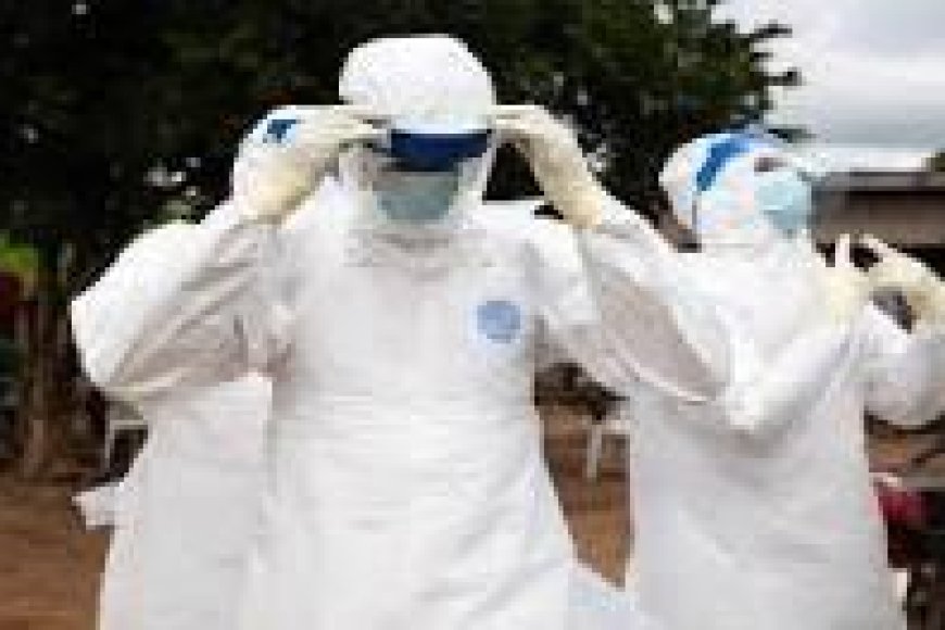 Ebola Alert: Cross River Among 10 High-Risk States as NCDC Intensifies Preparedness Measures