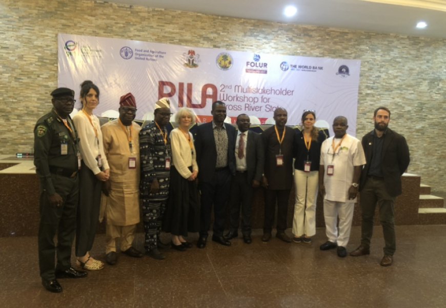 FAO, Stakeholders Meet in Calabar Over Deforestation
