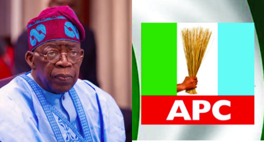 APC Reps Primaries: President Tinubu Kicks Against Alleged Governor's Imposition of Candidates During Reps Primaries