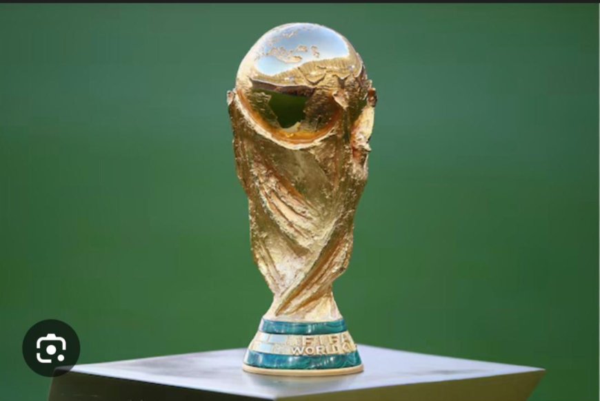 FIFA Faces Probe Over 2026 World Cup Ticket Pricing