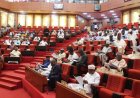 Senate Leadership Looking Into Casses of Senators Who Lost Primaries Says Akapbio