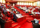 11th Senate To Consider Six-year Single Term For President, Govs, Says Lawmaker