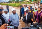 CEMENT MANUFACTURERS MUST REDUCE PRICES, TINUBU IS RETAKING NIGERIA — UMAHI