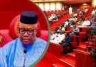 JUST IN: Senate Passes Bill Establishing State Police ‎