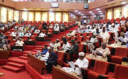 Senate Leadership Looking Into Casses of Senators Who Lost Primaries Says Akapbio