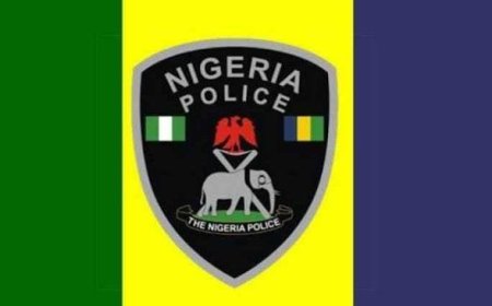 Police Summon Activist Over Viral Oghenemine Shooting Video