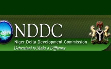 Over 400 NDDC postgraduate scholars decry unpaid scholarship funds, issue 7-day ultimatum