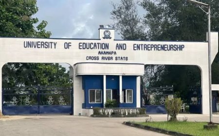 NUC Approves 14 Programmes For C'River State University of Education, Entrepreneurship
